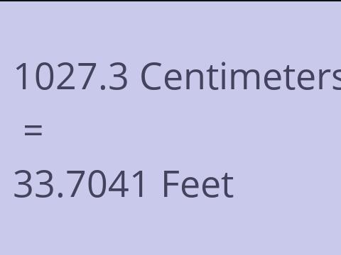 1027.3 CM TO FEET