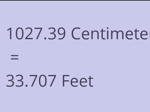 1027.39 CM TO FEET