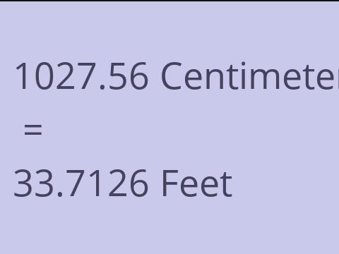 1027.56 CM TO FEET