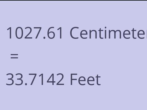 1027.61 CM TO FEET