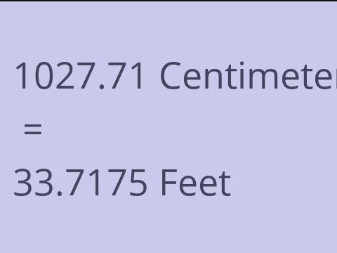 1027.71 CM TO FEET