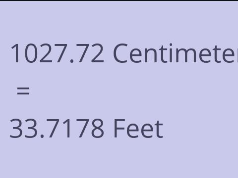 1027.72 CM TO FEET