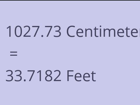 1027.73 CM TO FEET