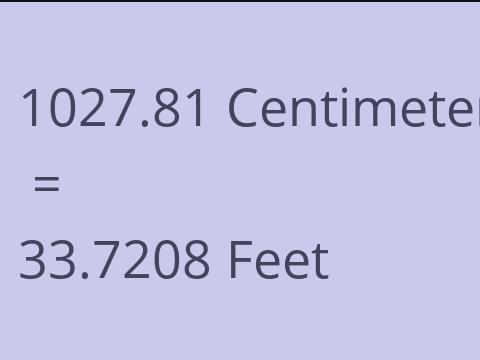 1027.81 CM TO FEET