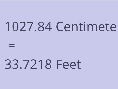 1027.84 CM TO FEET