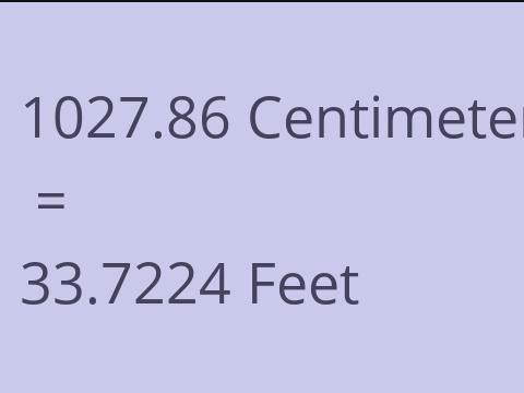 1027.86 CM TO FEET