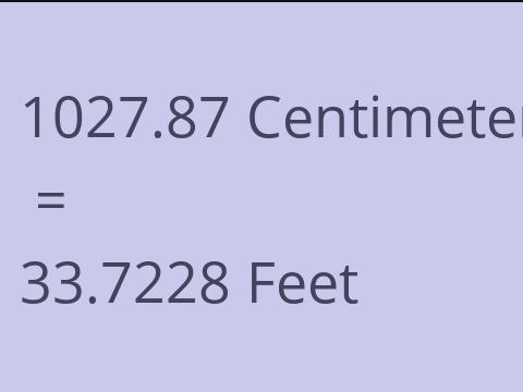 1027.87 CM TO FEET