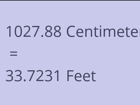 1027.88 CM TO FEET