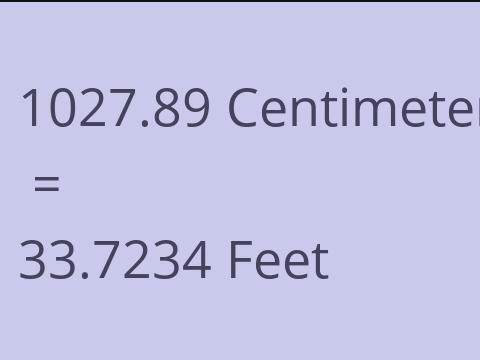 1027.89 CM TO FEET