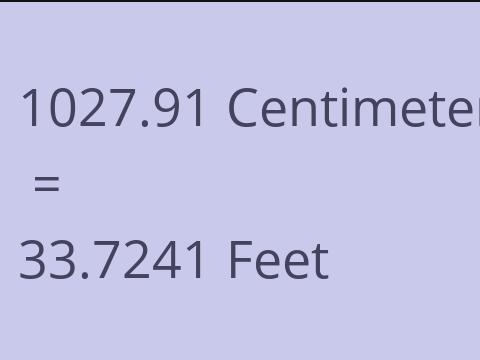 1027.91 CM TO FEET