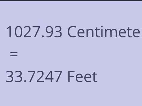 1027.93 CM TO FEET