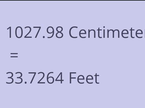 1027.98 CM TO FEET