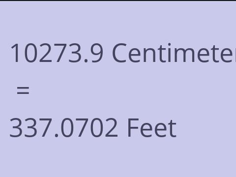 10273.9 CM TO FEET