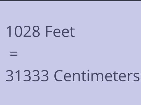 1028 FEET TO CM