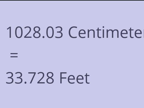 1028.03 CM TO FEET