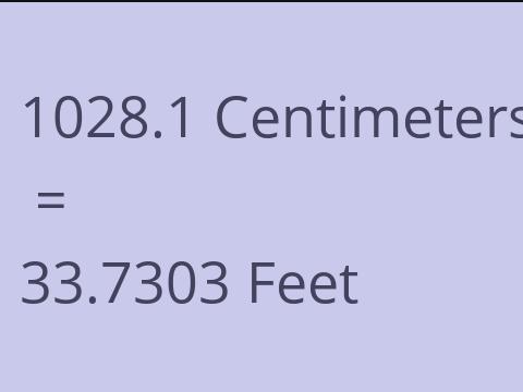 1028.1 CM TO FEET