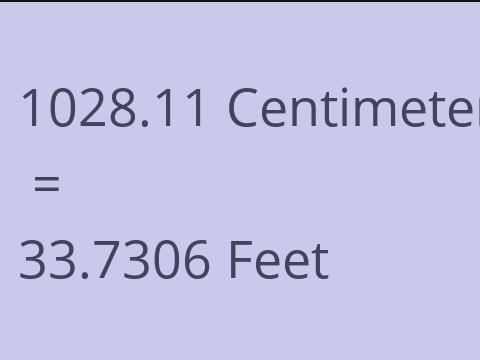 1028.11 CM TO FEET