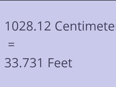 1028.12 CM TO FEET