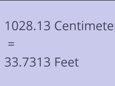 1028.13 CM TO FEET