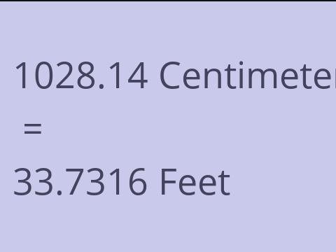 1028.14 CM TO FEET