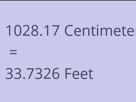 1028.17 CM TO FEET