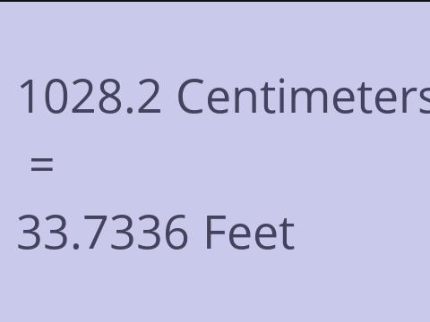 1028.2 CM TO FEET