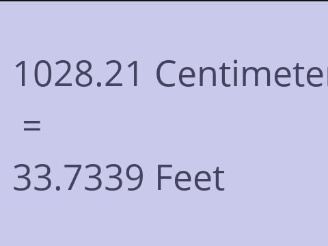 1028.21 CM TO FEET