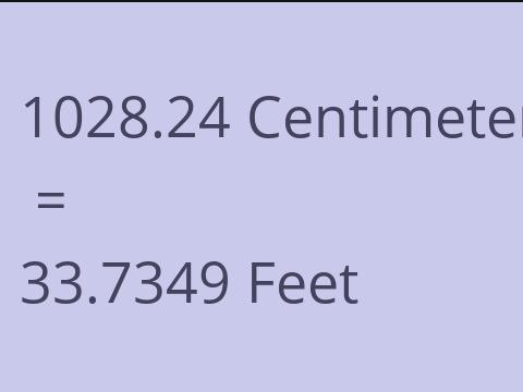 1028.24 CM TO FEET