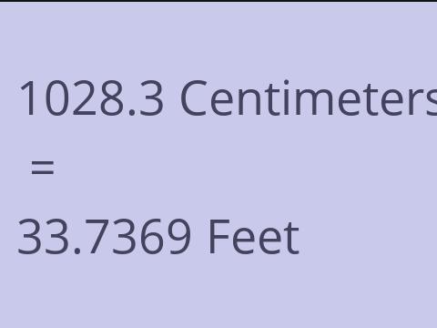 1028.3 CM TO FEET