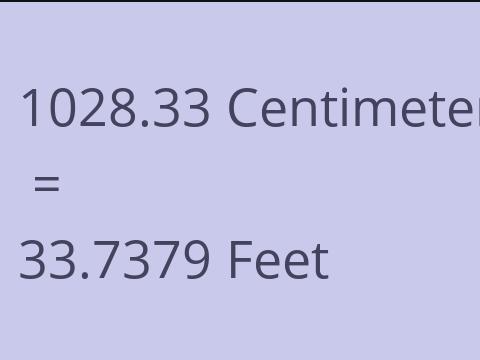 1028.33 CM TO FEET