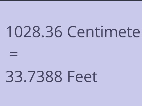 1028.36 CM TO FEET