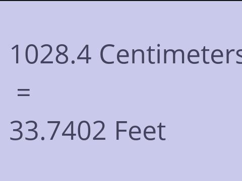 1028.4 CM TO FEET