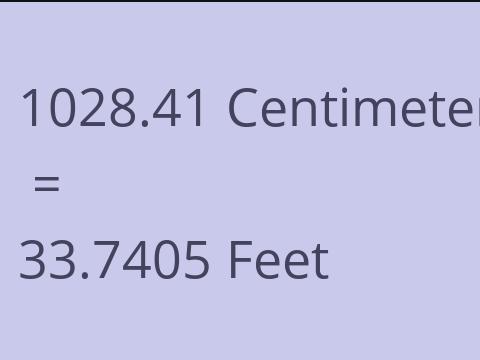 1028.41 CM TO FEET