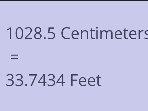 1028.5 CM TO FEET