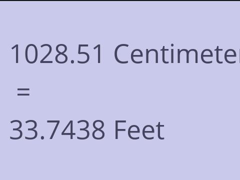 1028.51 CM TO FEET