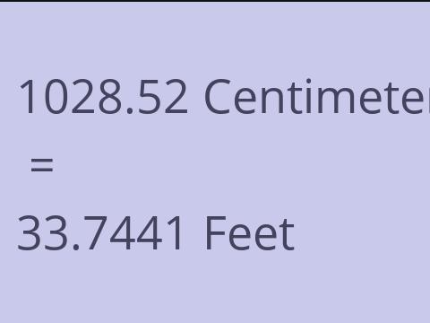 1028.52 CM TO FEET