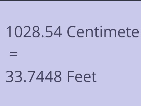 1028.54 CM TO FEET