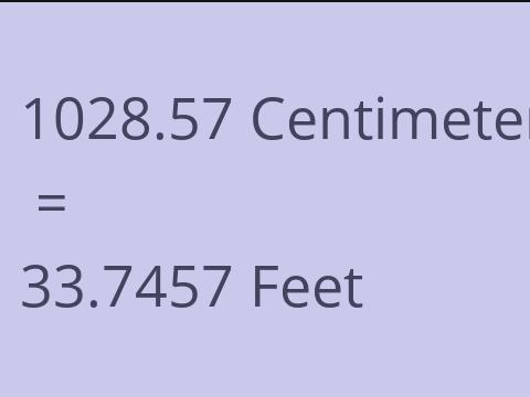 1028.57 CM TO FEET