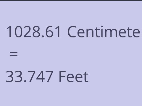 1028.61 CM TO FEET