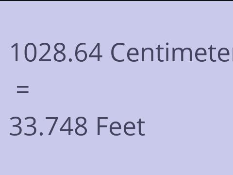 1028.64 CM TO FEET