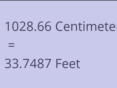 1028.66 CM TO FEET