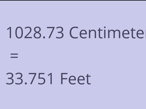 1028.73 CM TO FEET