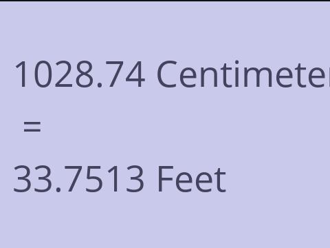 1028.74 CM TO FEET