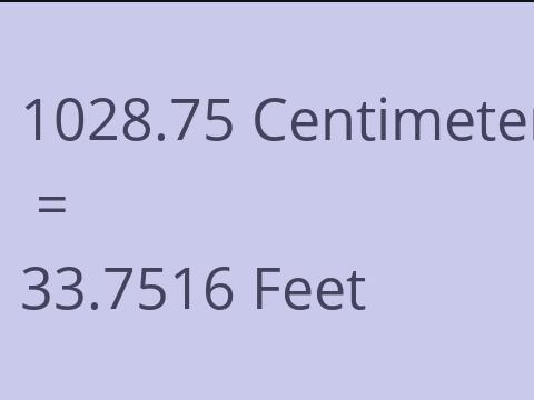 1028.75 CM TO FEET