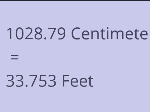 1028.79 CM TO FEET