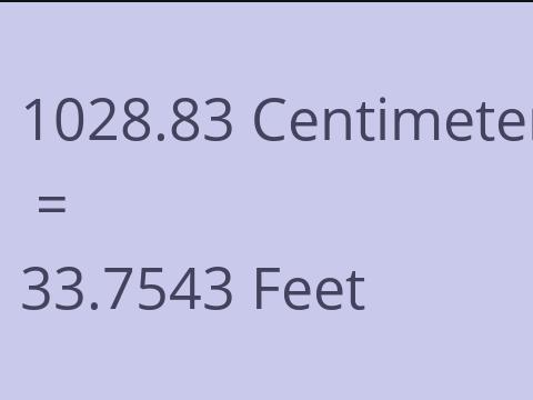 1028.83 CM TO FEET