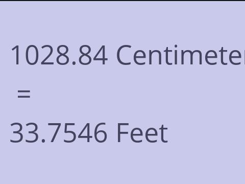 1028.84 CM TO FEET