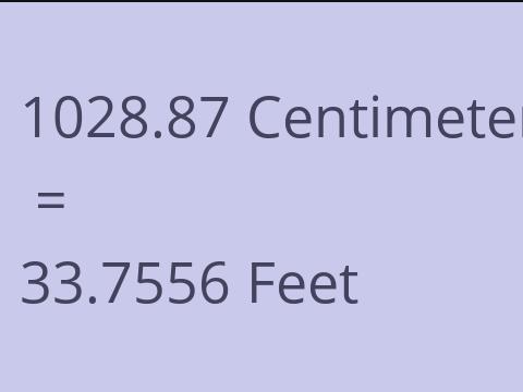 1028.87 CM TO FEET