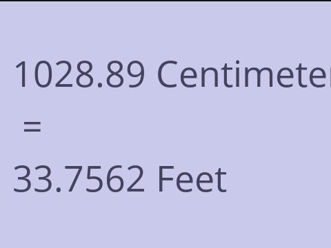 1028.89 CM TO FEET