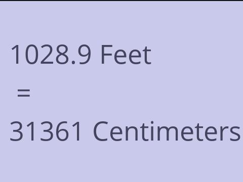 1028.9 FEET TO CM